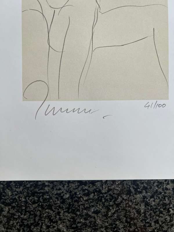 SIGNED, NUMBERED! MICHAEL FRAMPTON BOX SET SEVEN LIMITED EDITON PRINTS 2000