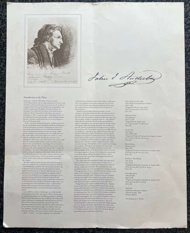 1 x COLLECTION OF 4 PRINTS BY JOHN J AUDUBON