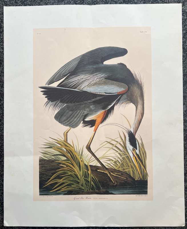 1 x COLLECTION OF 4 PRINTS BY JOHN J AUDUBON