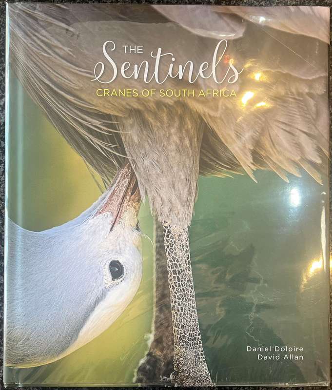 THE SENTINELS: CRANES OF SOUTH AFRICA BY DANIEL DOLPIRE & DAVID ALLEN
