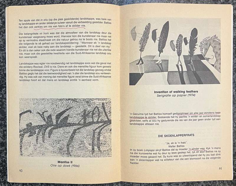 WALTER BATTISS: ENERGIE MENS EN KUNSTENAAR, TIENERTAKE BY PIETER SWANEPOEL