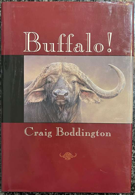 BUFFALO! BY CRAIG BODDINGTON
