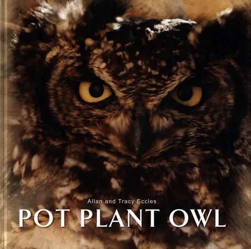 POT PLANT OWL BY ALLAN AND TRACY ECCLES