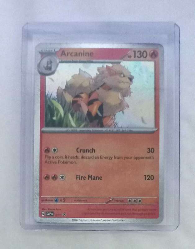 Arcanine no.11 promo from Scarlet &Violet Pokemon Card