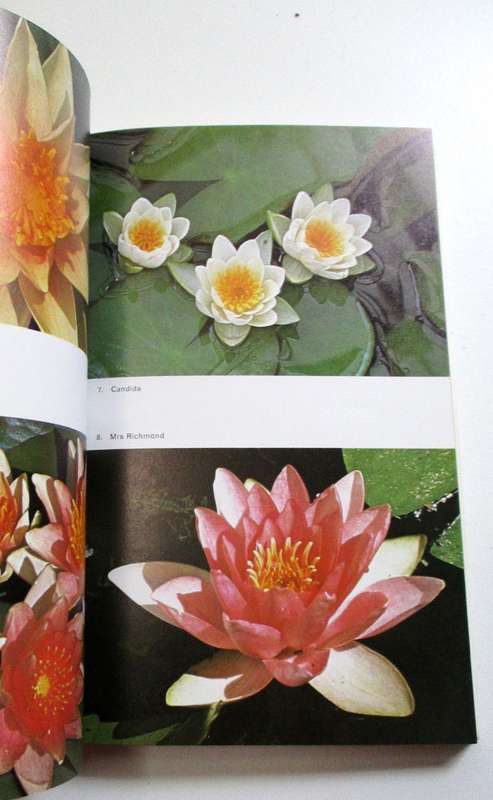 Ponds and water gardens - Bill Heritage - Blanford Press, Dorset (Softcover)