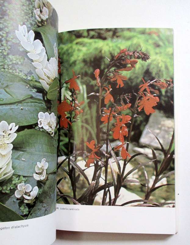 Ponds and water gardens - Bill Heritage - Blanford Press, Dorset (Softcover)