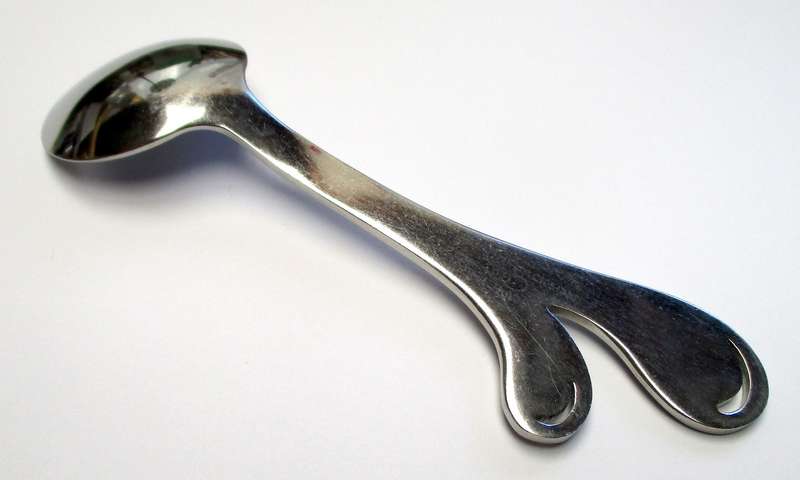 Martine Jackson for Carrol Boyes sugar spoon