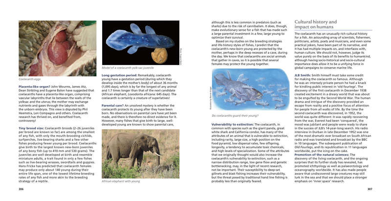 Signed copy - The Annotated Old Fourlegs: The story of the Coelacanth - Mike Bruton