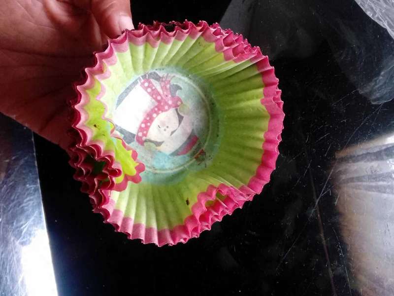 Muffin Cups
