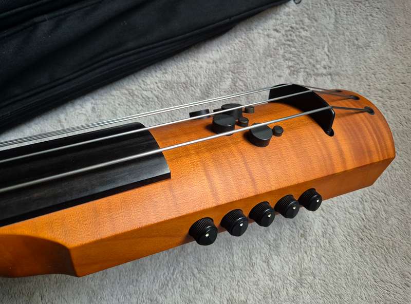 Ned Steinberger CR4M 4-String Upright Professional Bass