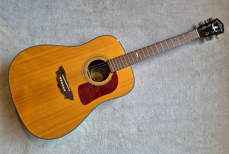 Washburn Apache D37S Acoustic Guitar