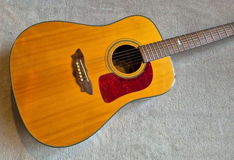 Washburn Apache D37S Acoustic Guitar
