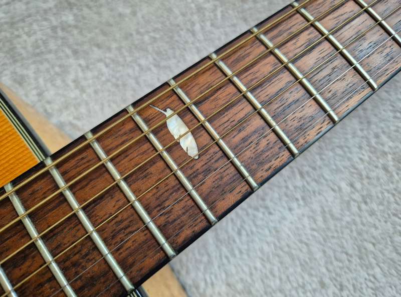 Washburn Apache D37S Acoustic Guitar