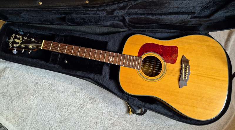 Washburn Apache D37S Acoustic Guitar