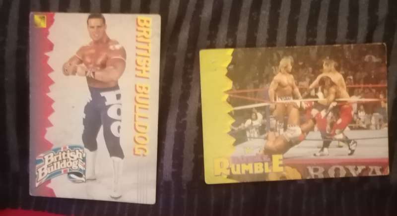 1995 Wrestling Cards