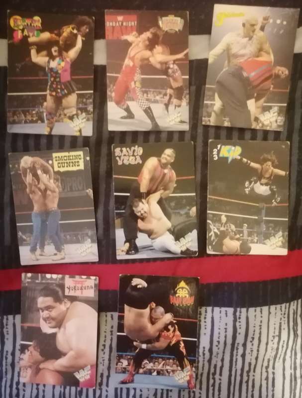 1995 Wrestling Cards