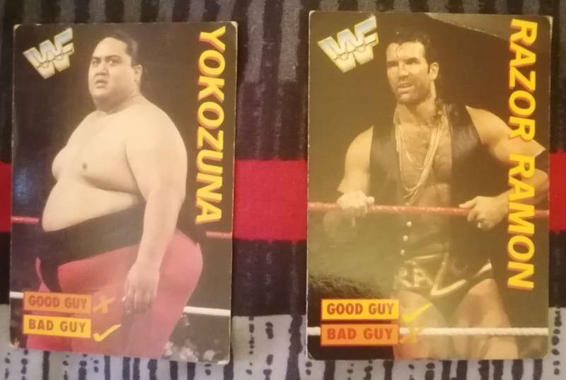 1995 Wrestling Cards