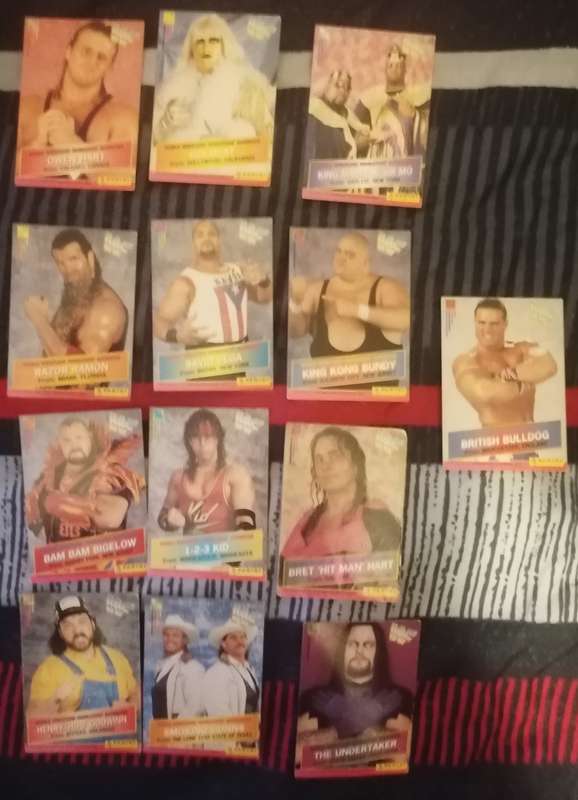 1995 Wrestling Cards