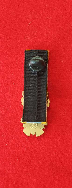 SANDF - GOLD LEOPARD - MINIATURE ORIGINAL
