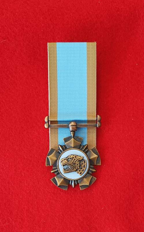 SANDF - BRONZE LEOPARD (NB) - ORIGINAL NUMBERED - FULL SIZE