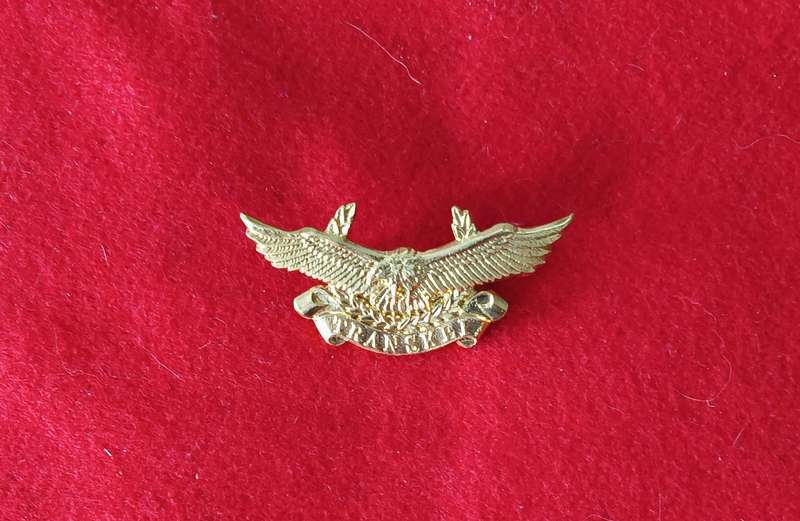 SADF - TRANSKEI DEFENCE FORCE - AIR WING - CAP BADGE