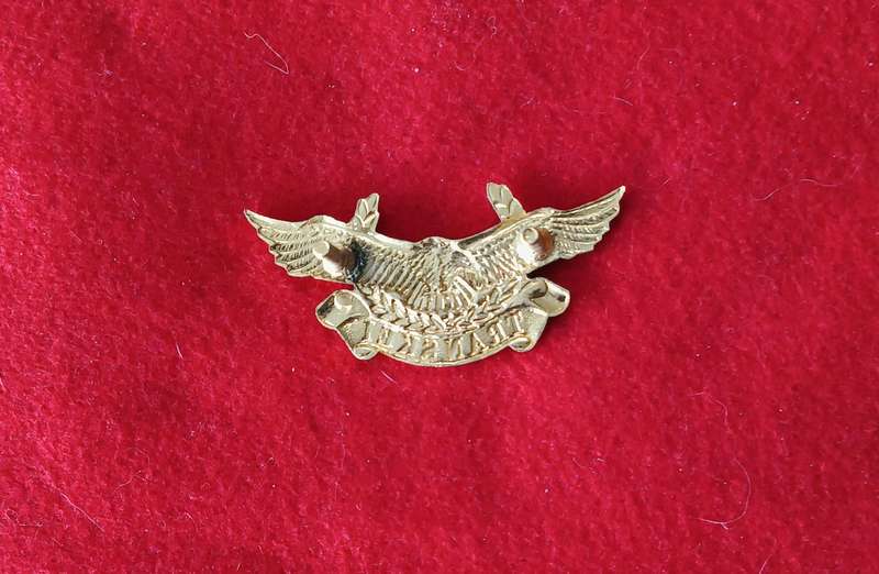 SADF - TRANSKEI DEFENCE FORCE - AIR WING - CAP BADGE