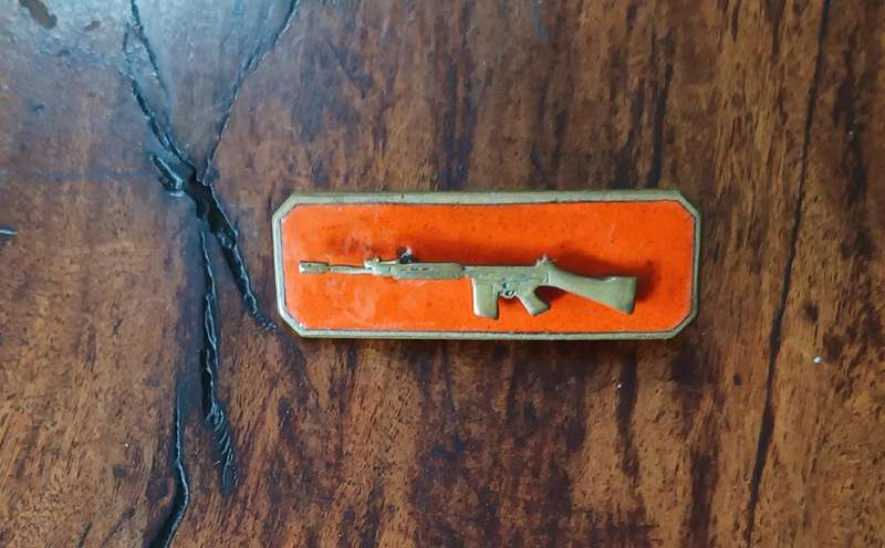 SADF - INSTRUCTORS BADGE - GOLD