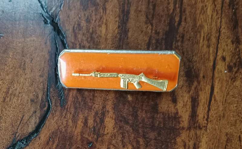 SADF - INSTRUCTORS BADGE - GOLD