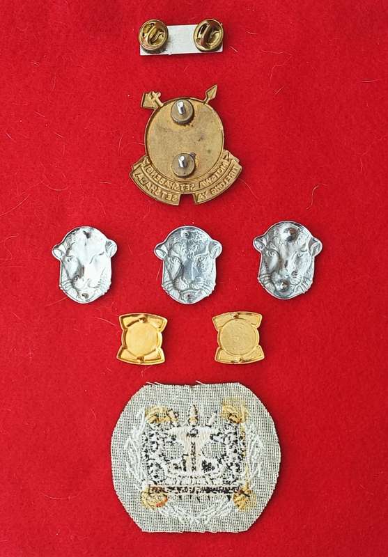 SADF - BOPHUTHATSWANA DEFENCE FORCE LOT