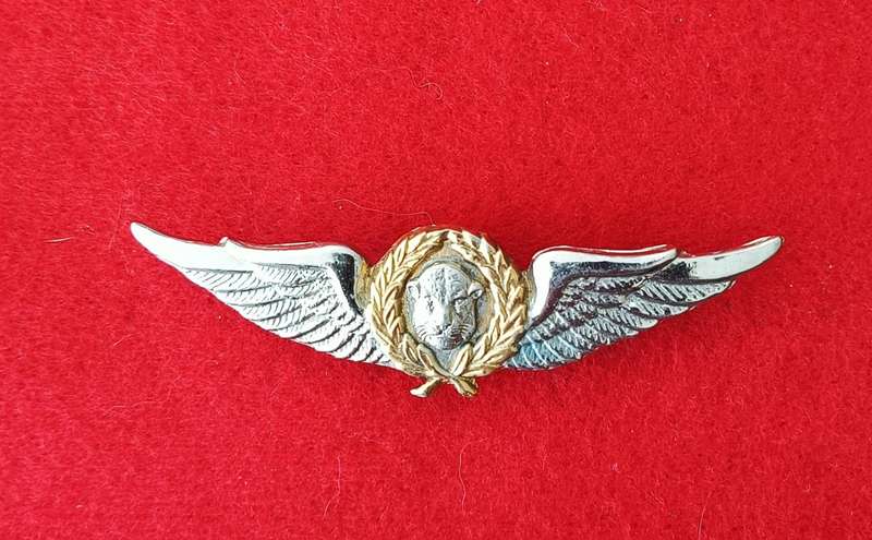 SADF - BOPHUTHATSWANA DEFENCE FORCE - PILOTS WINGS (SCARCE)
