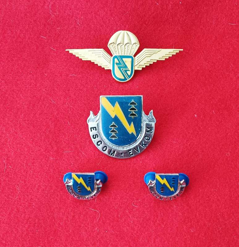 OLD ESCOM - SECURITY AND REACTION FORCE - METAL BADGES + WING - LOT 1