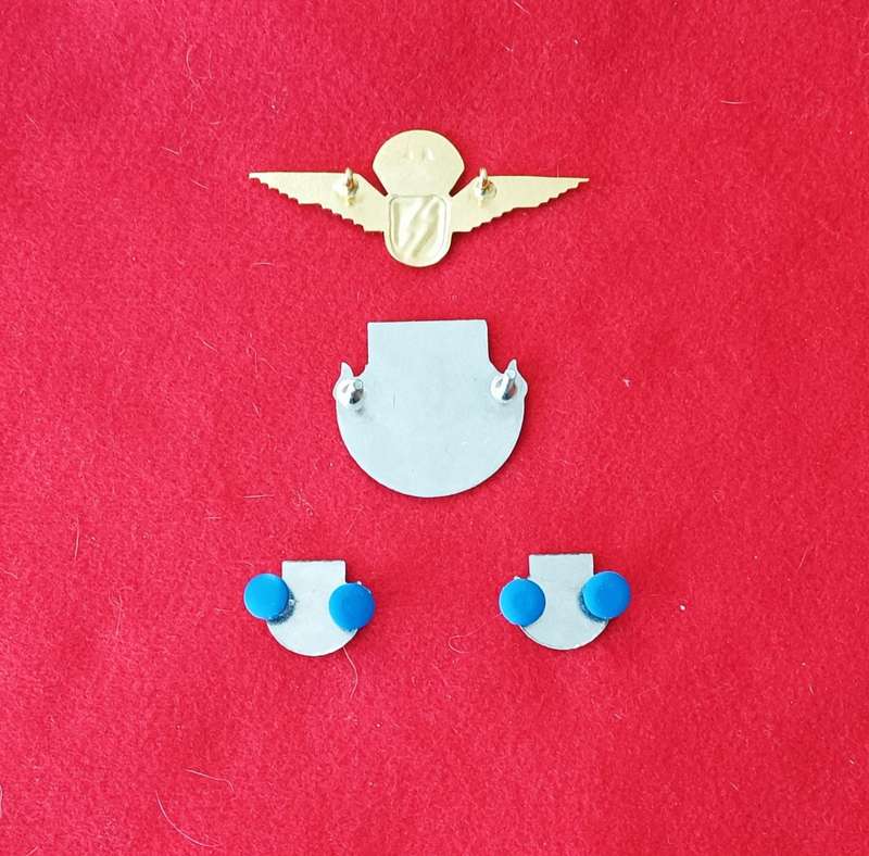 OLD ESCOM - SECURITY AND REACTION FORCE - METAL BADGES + WING - LOT 1
