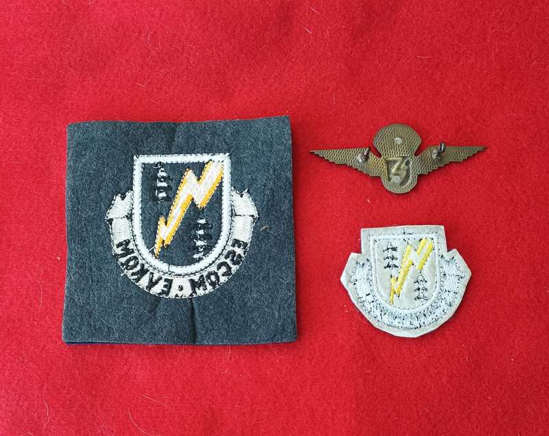 OLD ESCOM - SECURITY AND REACTION FORCE - CLOTH BADGES + METAL WING - LOT 2