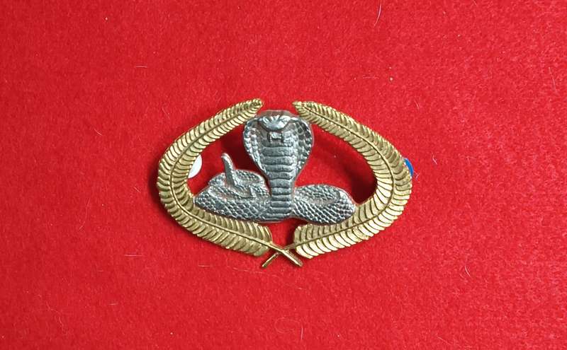 EXECUTIVE OUTCOMES - METAL CAP BADGE 1