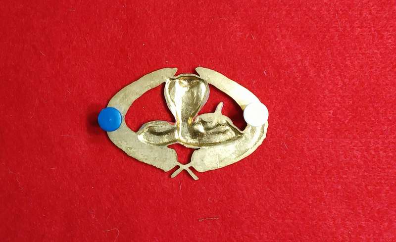 EXECUTIVE OUTCOMES - METAL CAP BADGE 1