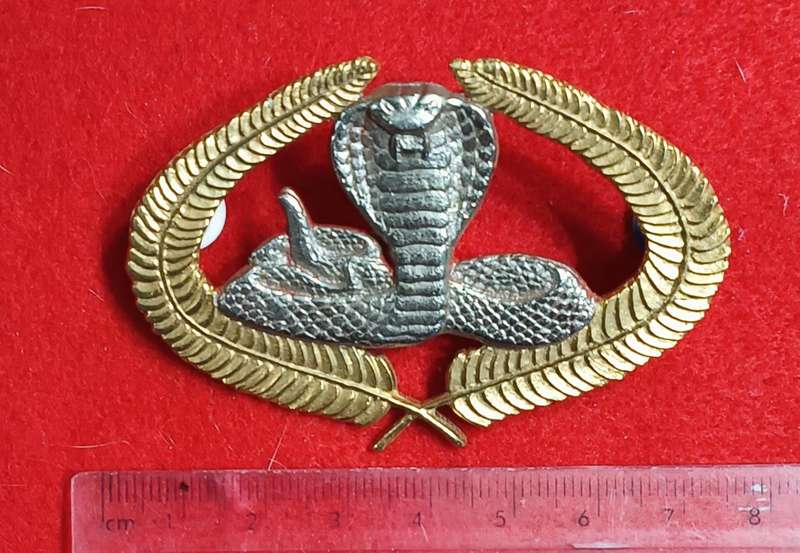 EXECUTIVE OUTCOMES - METAL CAP BADGE 1