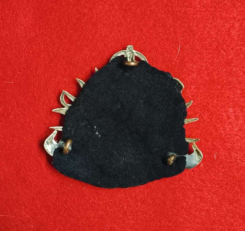 NYASALAND - NYASALAND POLICE CAP BADGE