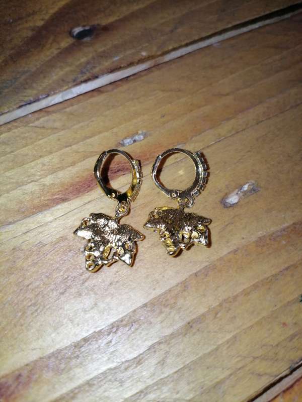Earrings - Perfect Gift!