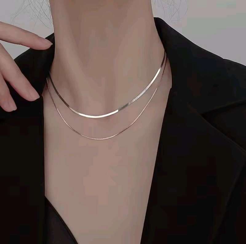 925 Silver Double Layer Snake and Box Necklace