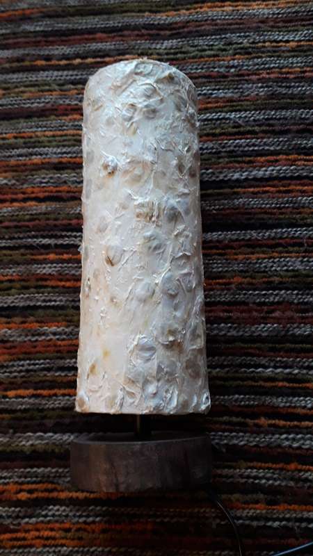 Natural Seed Bedside Table Lamp