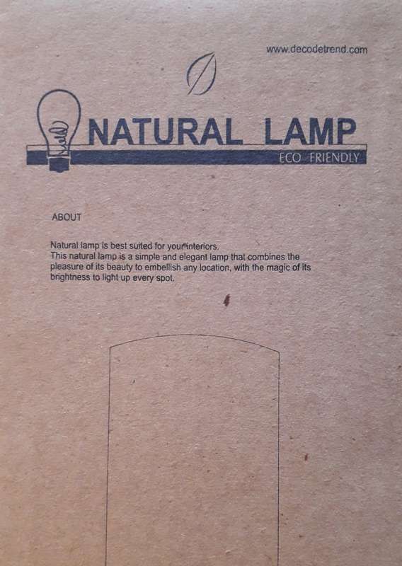 Natural Seed Bedside Table Lamp