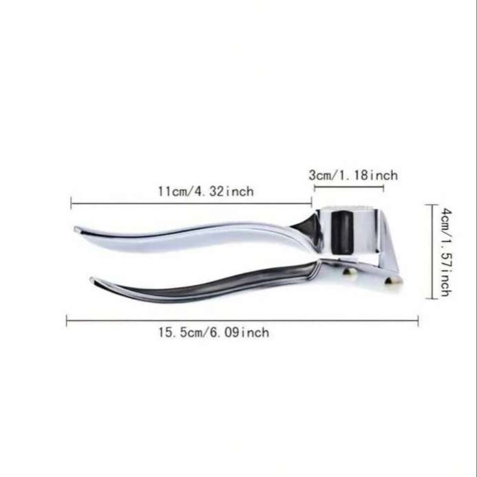 Stainless Steel Garlic Press