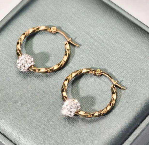 Stainless Steel Twist Hoop Earrings 2