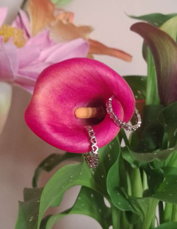 Open Hearts Ring Set - Free size
