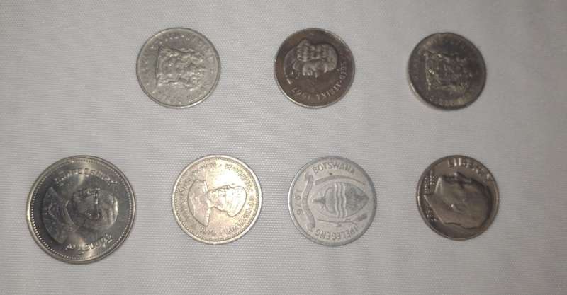 Collection of circulated coins South Africa, U S dime, Thai baht, Lesotho, Botswana coins