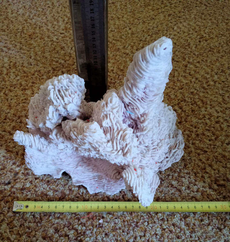 Large towering sea coral