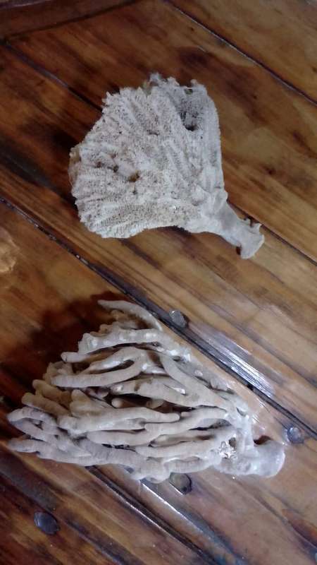 Shell bundle