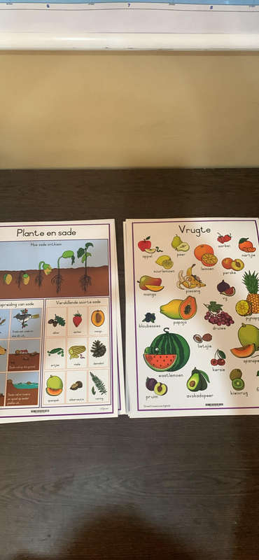 11x A3 Afrikaanse Laminated Posters (Nog nuut) Prys is vir alles