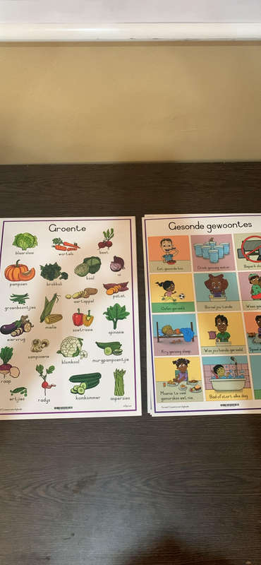 11x A3 Afrikaanse Laminated Posters (Nog nuut) Prys is vir alles