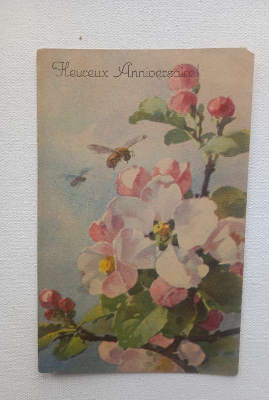 Vintage floral postcard